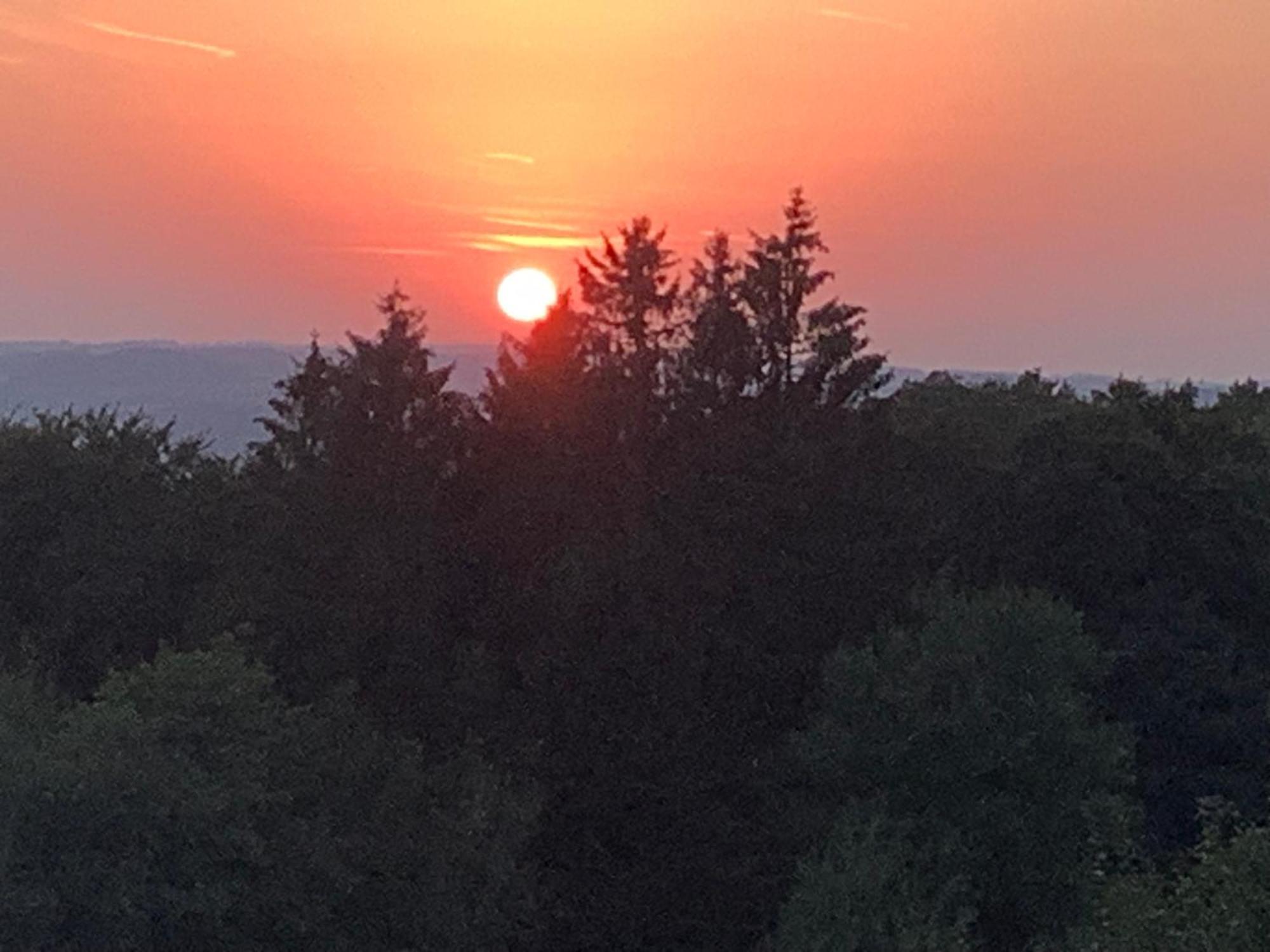 Wohlfuehloase Am Michelsberg Lägenhet Bad Muenstereifel Exteriör bild